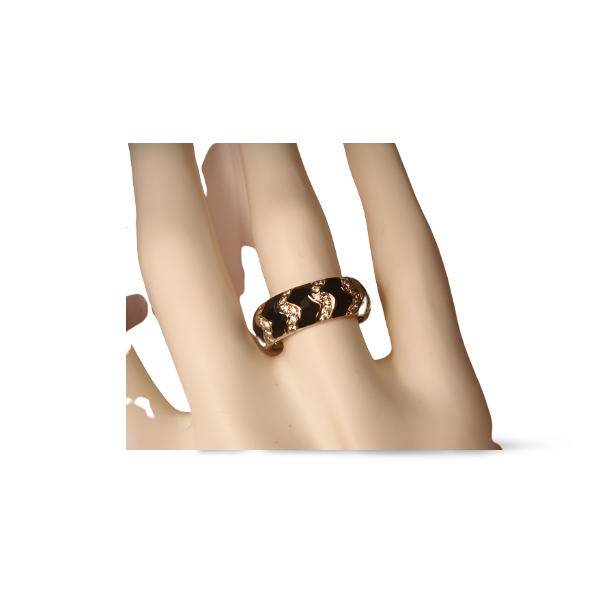 Hidalgo 2025 famous rings